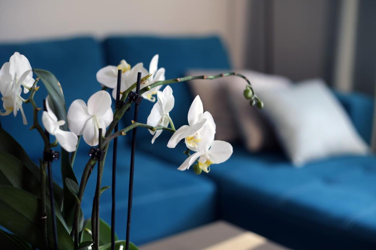 שצ'צ'ין Apartament Turkus מראה חיצוני תמונה